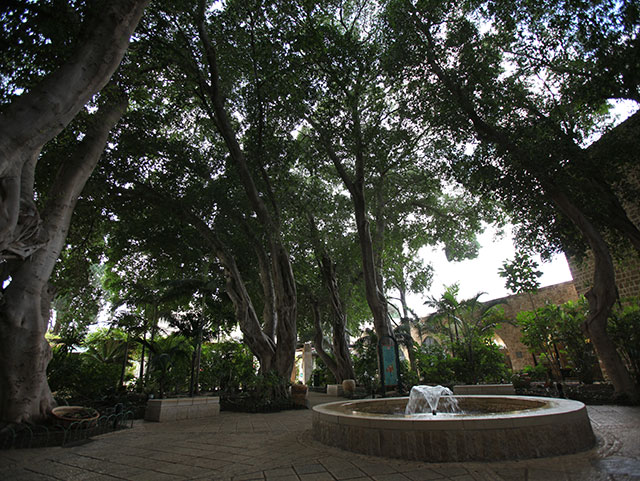 Le Jardin Enchanté, à l'entrée de la Forteresse des Hospitaliers